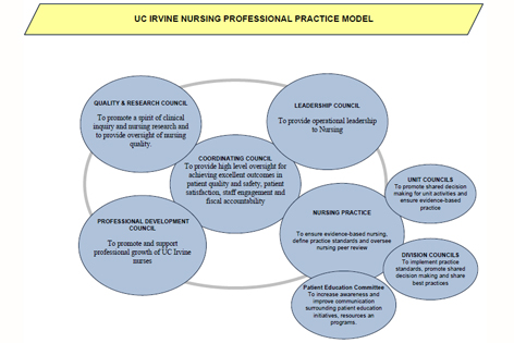 UC Irvine nursing shared governance model
